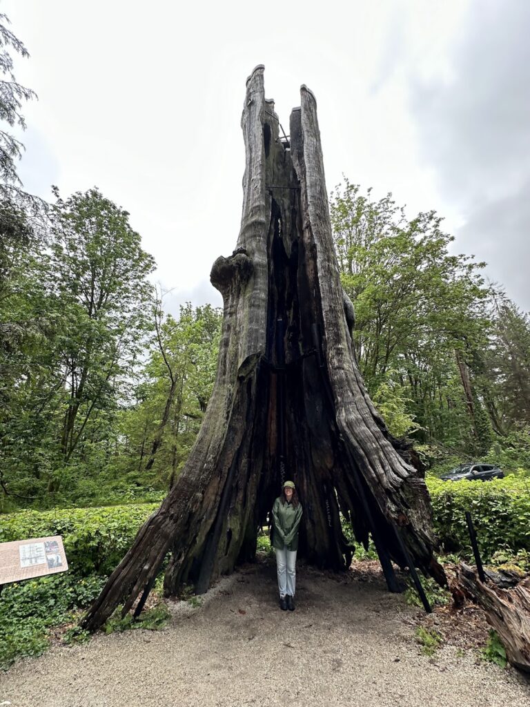 A photo of me in front of the Hollow Tree in Vancouver's Stanley Park!